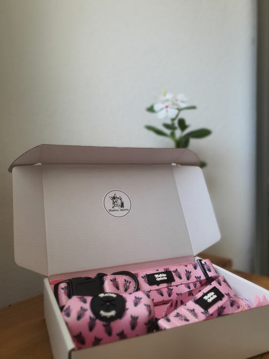 PACK COLLAR DIVA SE NACE