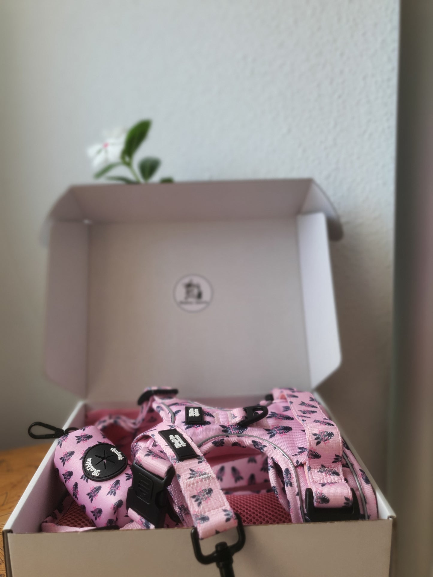 PACK ARNÉS TRAIL PRO DIVA SE NACE