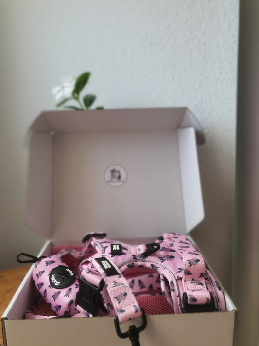 PACK ARNÉS TRAIL PRO DIVA SE NACE