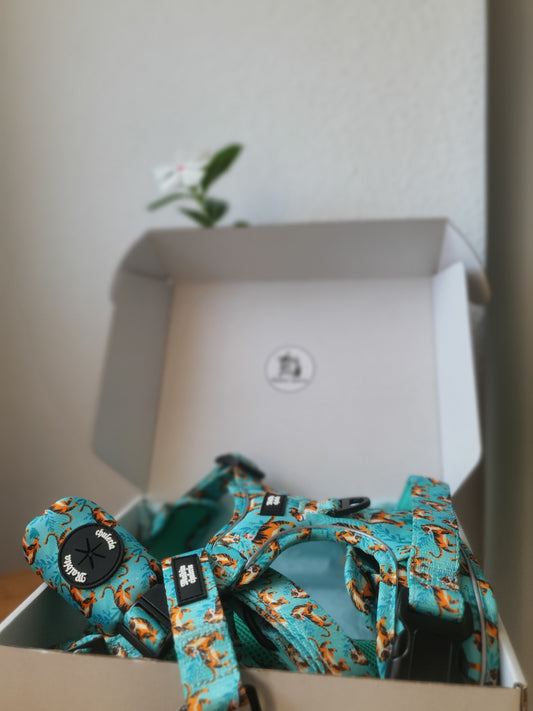 PACK ARNÉS TRAIL PRO FLOW BENGALA