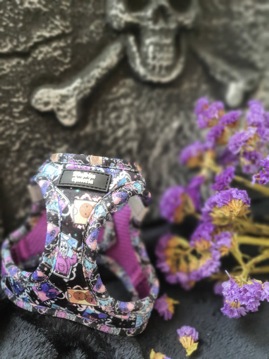 ARNÉS BODY RESPIRANDO EN TU NUCA