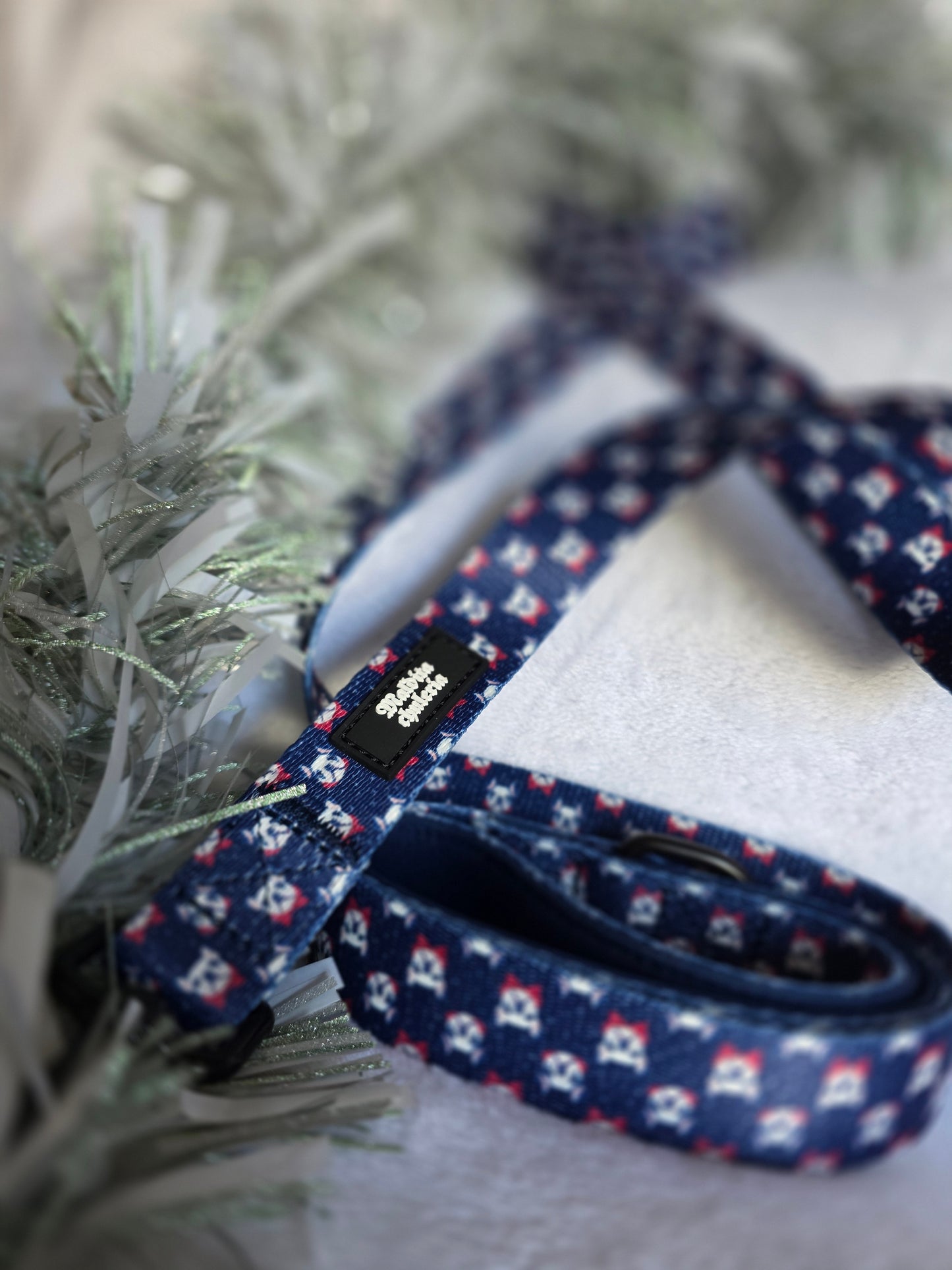 CORREA CHATOS WINTER GANG