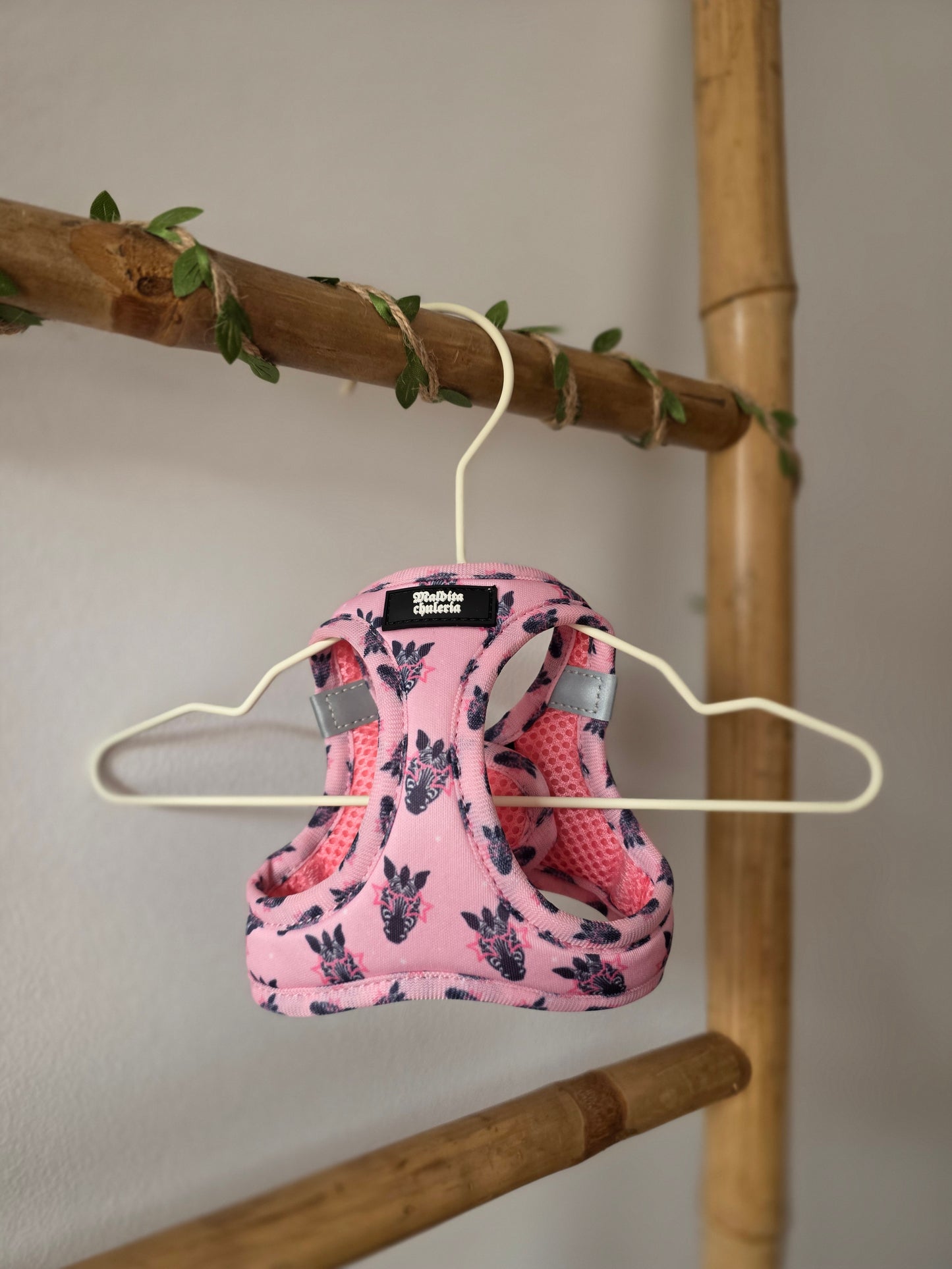 ARNÉS BODY DIVA SE NACE