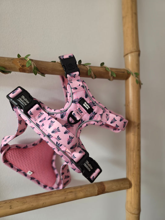ARNÉS TRAIL PRO DIVA SE NACE