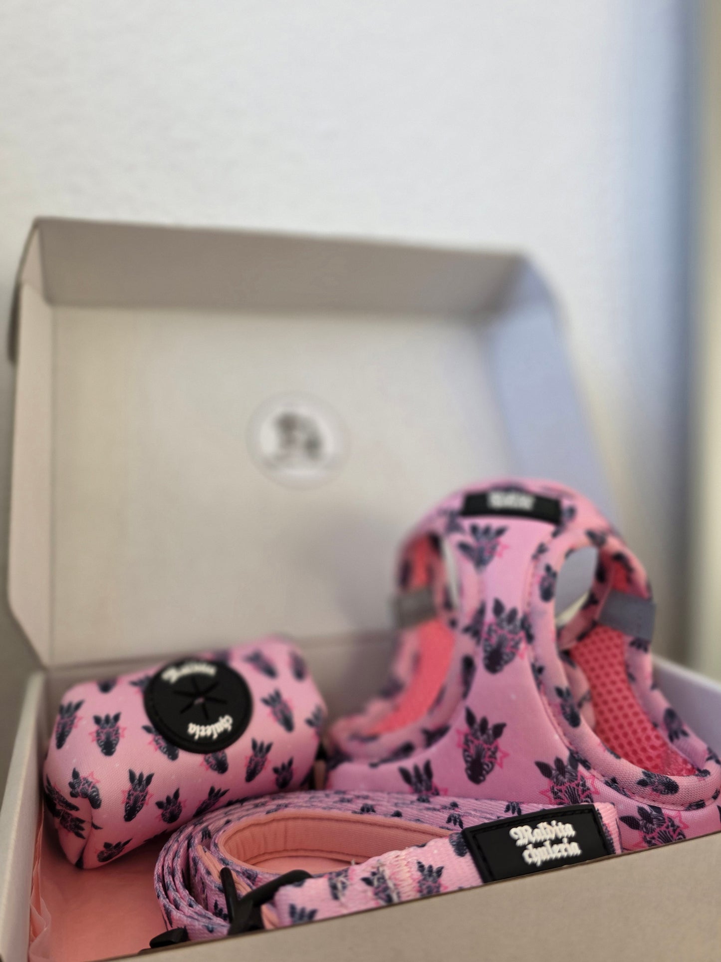 PACK ARNÉS BODY DIVA SE NACE