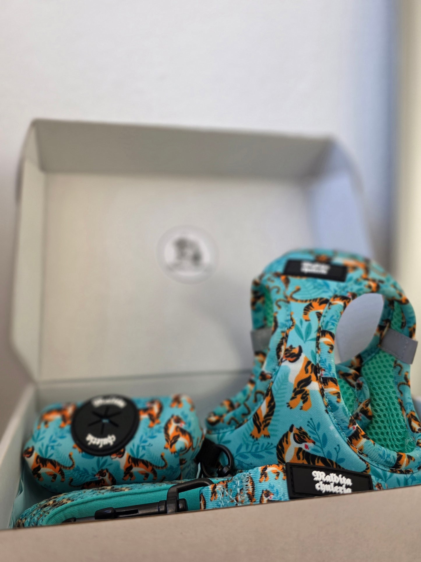 PACK ARNÉS BODY FLOW BENGALA