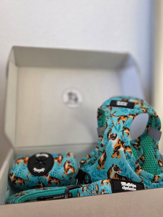 PACK ARNÉS BODY FLOW BENGALA