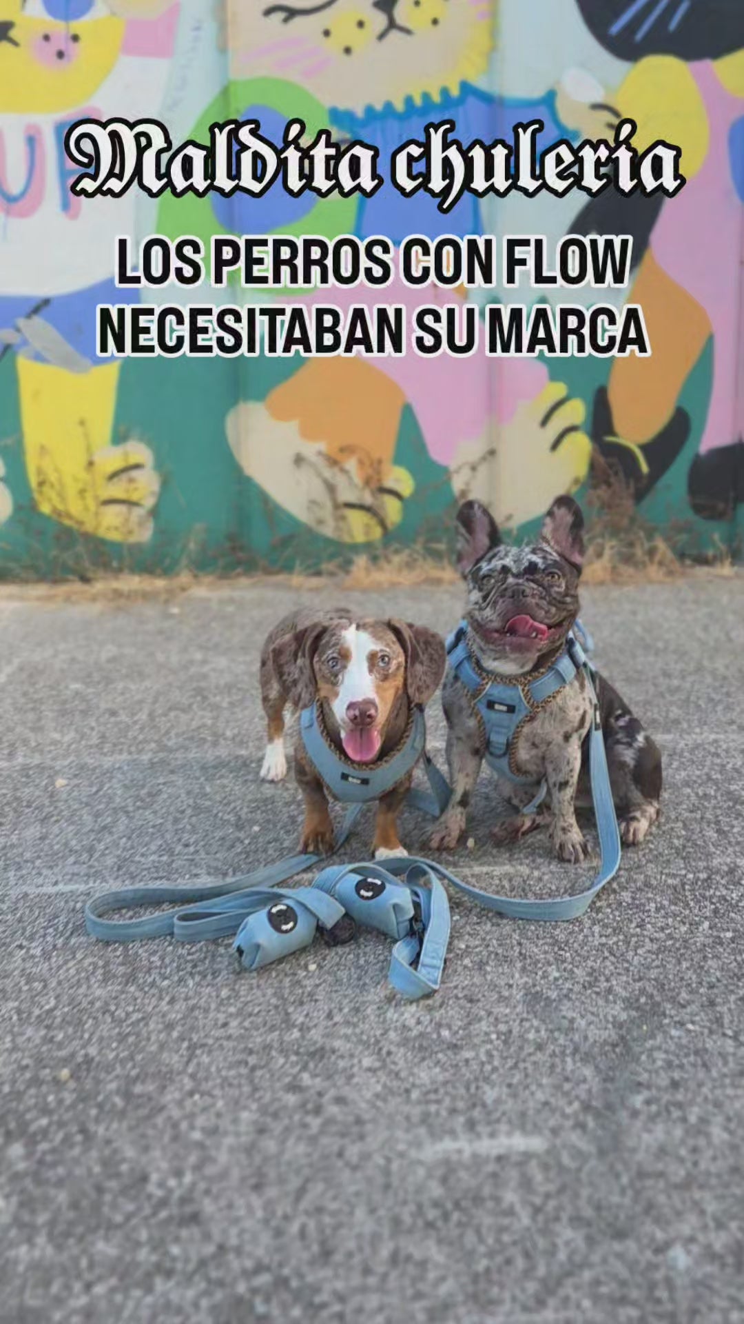 Cargar video: Vídeo de la marca